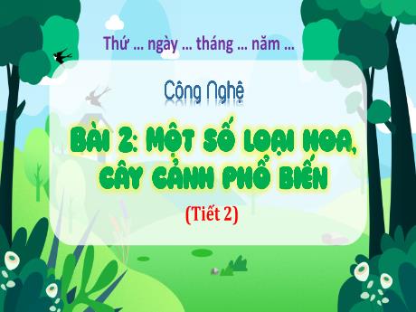 Bài giảng Công nghệ Lớp 4 - Bài 2: Một số loại hoa, cây cảnh phổ biến (Tiết 2)