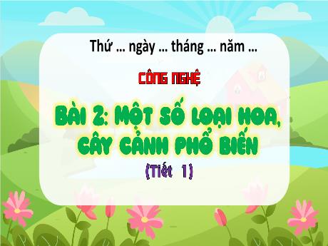 Bài giảng Công nghệ Lớp 4 - Bài 2: Một số loại hoa, cây cảnh phổ biến (Tiết 3)