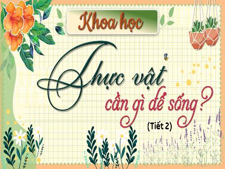 Bài giảng Khoa học Lớp 4 - Bài 15: Thực vật cần gì để sống (Tiết 2) -