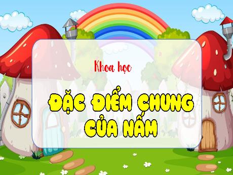 Bài giảng Khoa học Lớp 4 - Bài 19: Đặc điểm chung của nấm (Tiết 1)