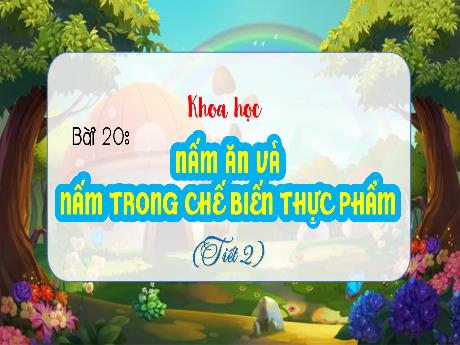 Bài giảng Khoa học Lớp 4 - Bài 20: Nấm ăn và nấm trong chế biến thực phẩm (Tiết 2)