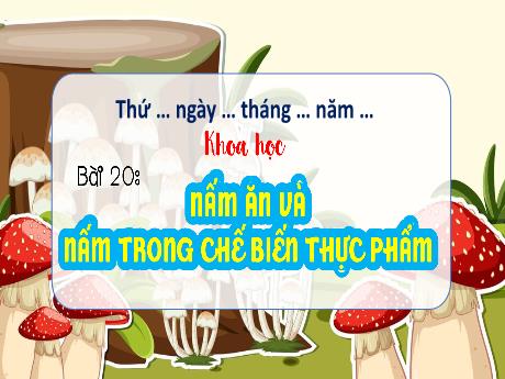 Bài giảng Khoa học Lớp 4 - Bài 20: Nấm ăn và nấm trong chế biến thực phẩm (Tiết 1)